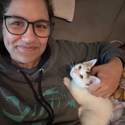 Purrincess Piper, a Adoptable mixed breed in Houston, TX image 3/6