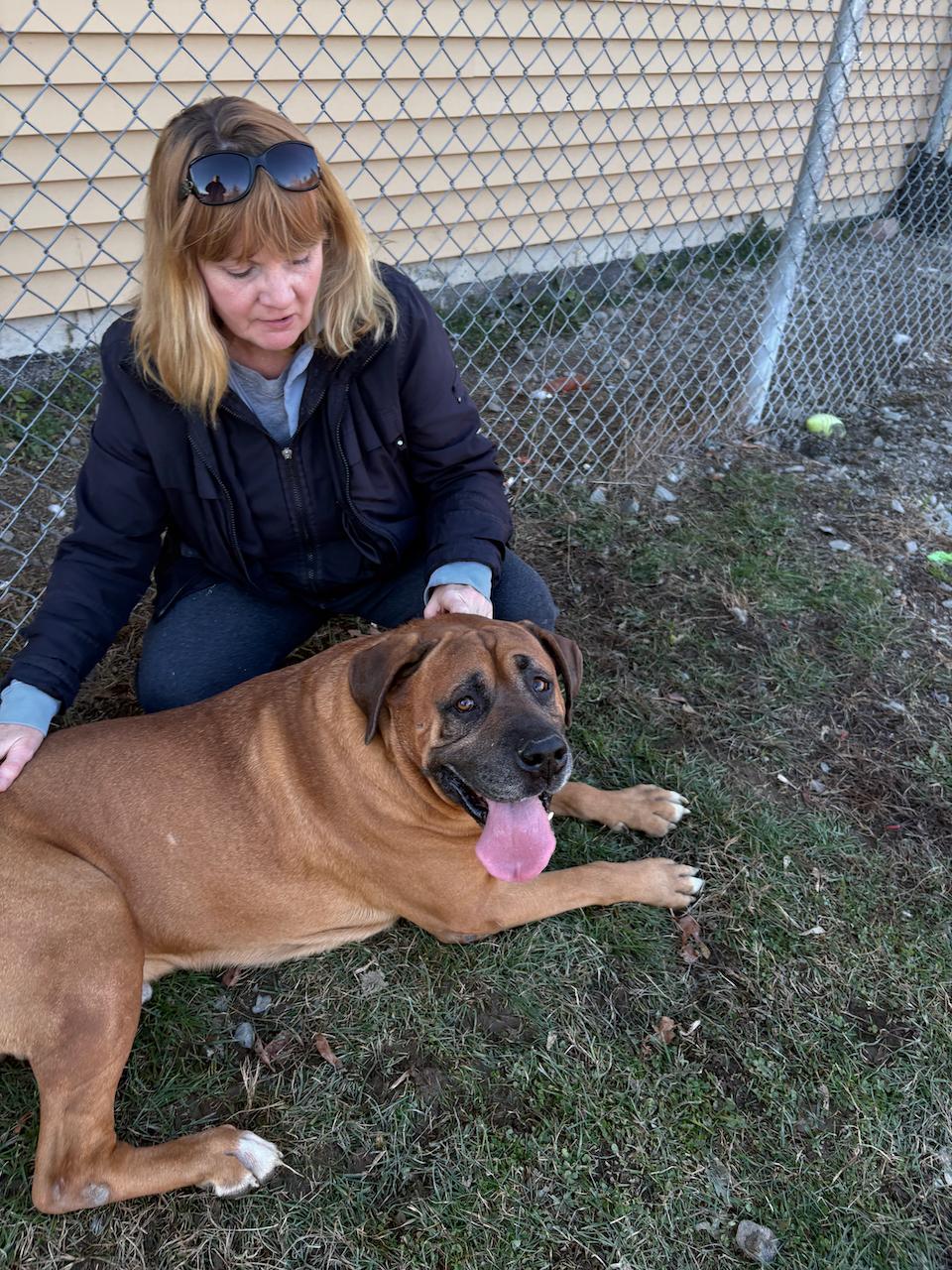Turbo, a Adoptable mixed breed in St Stephen, NB image 3/5