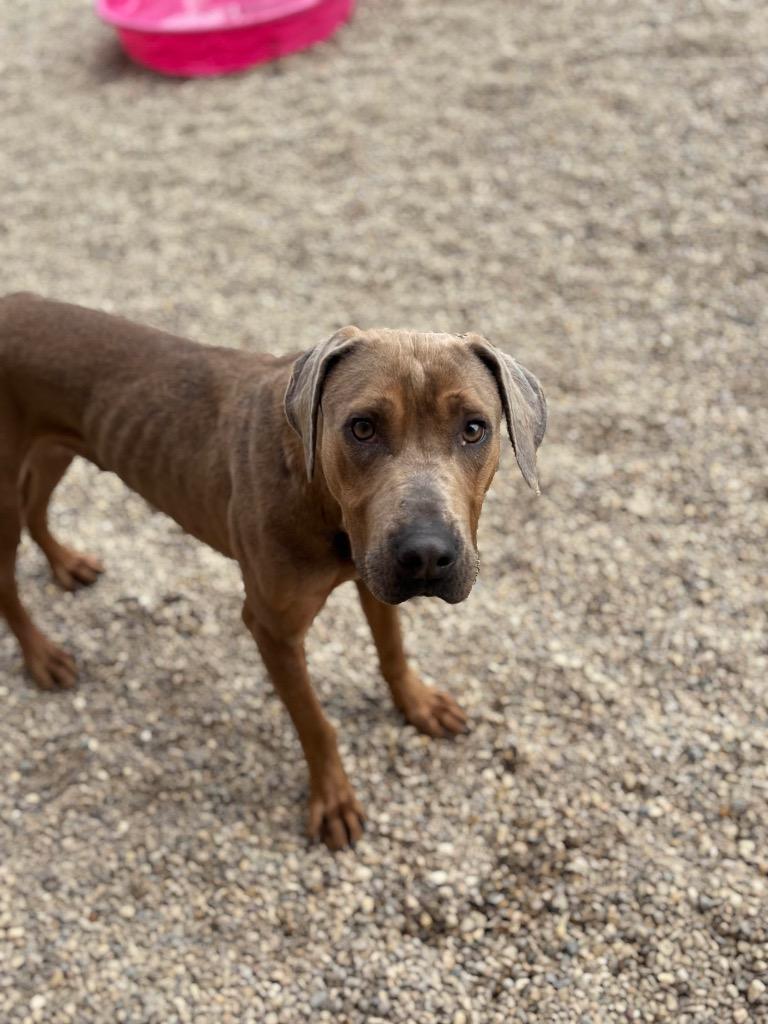 Snuggles thumbnail 2