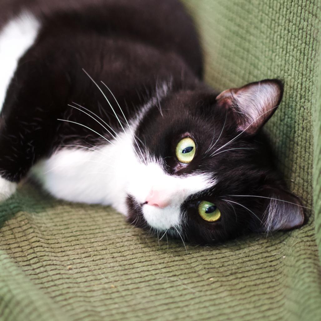 Hermione — thumbnail 2