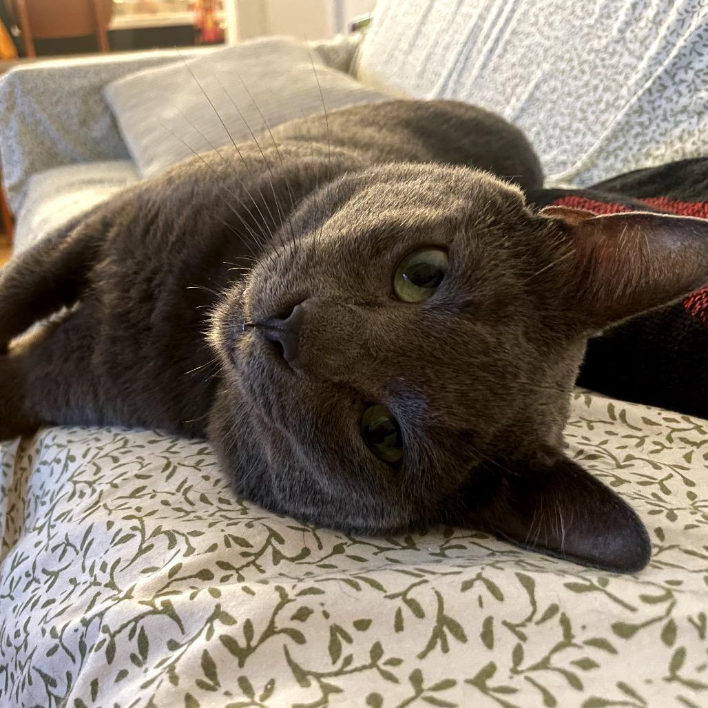 Bruce Banner — thumbnail 5