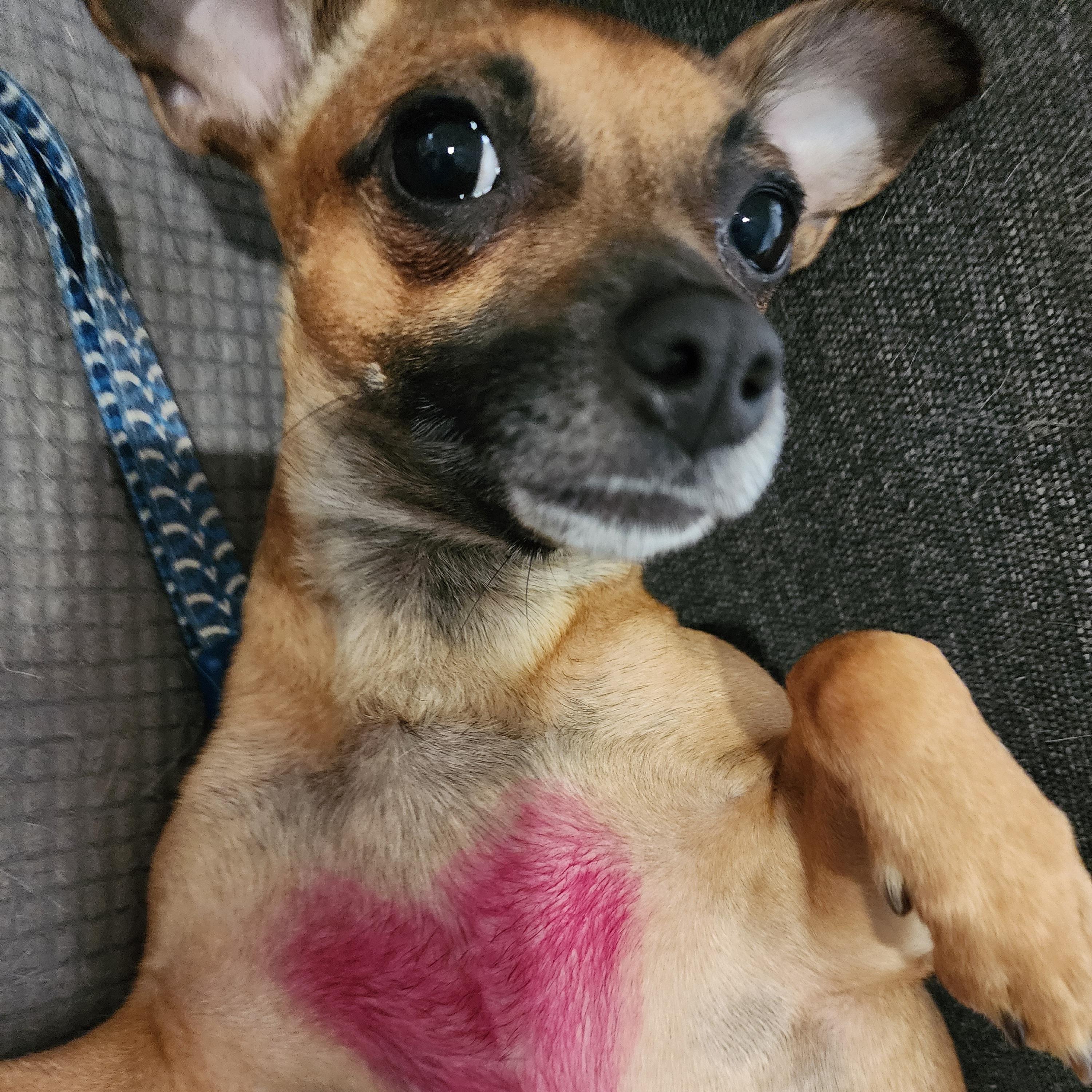 Fiona- located in Marion, NC