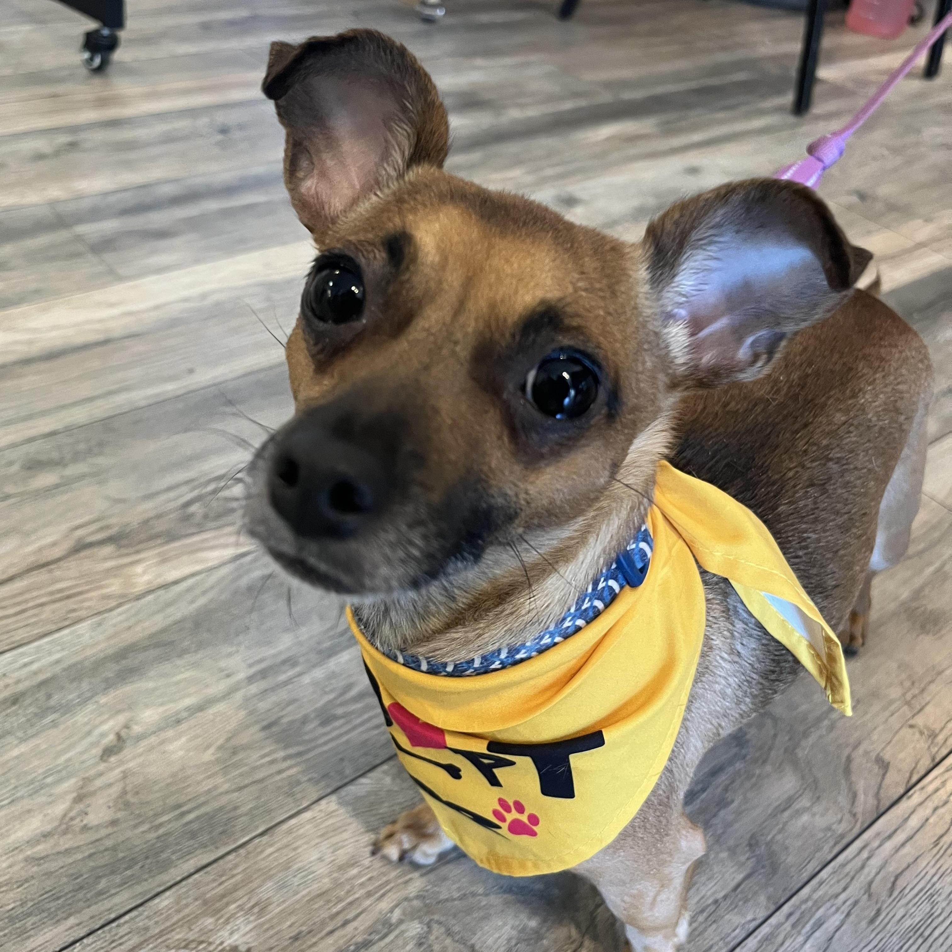 Fiona- located in Marion, NC