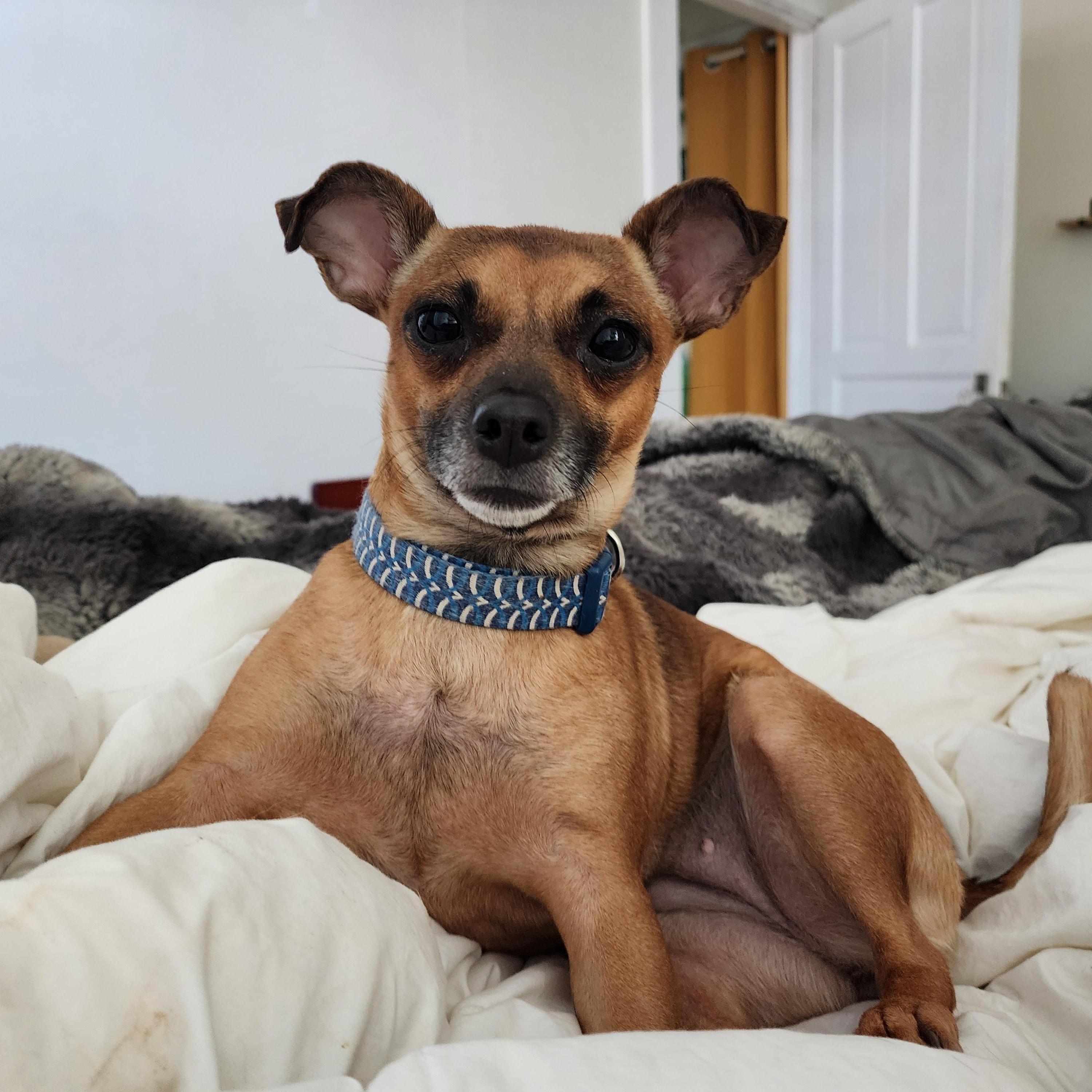 Fiona- located in Marion, NC