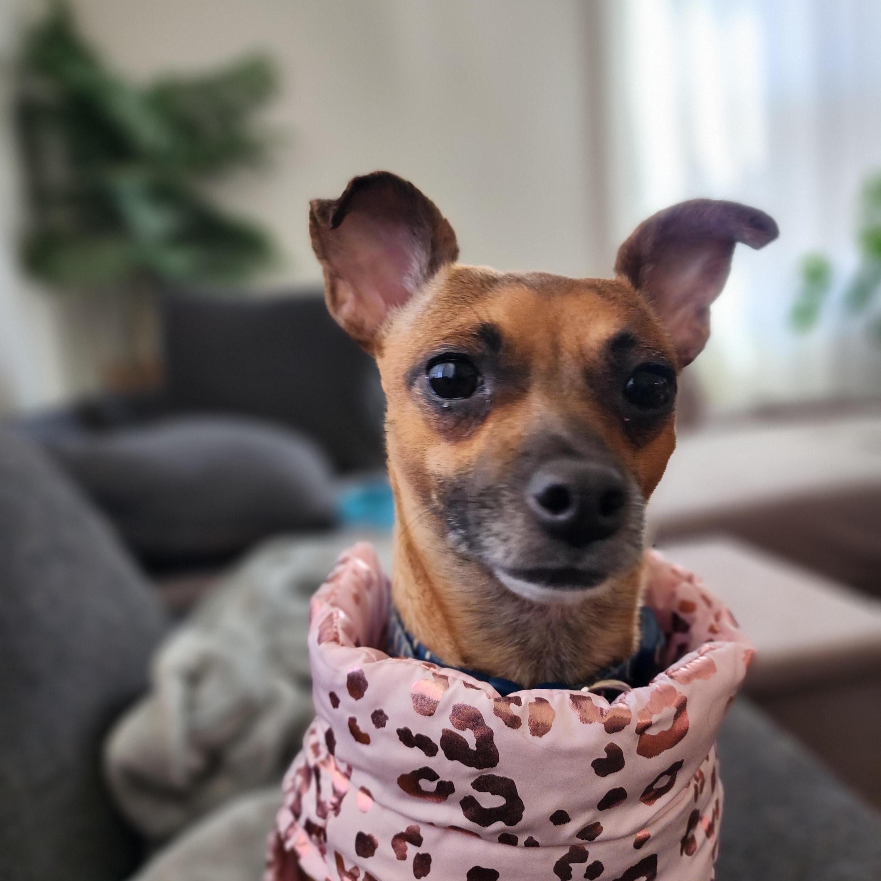 Fiona- located in Marion, NC