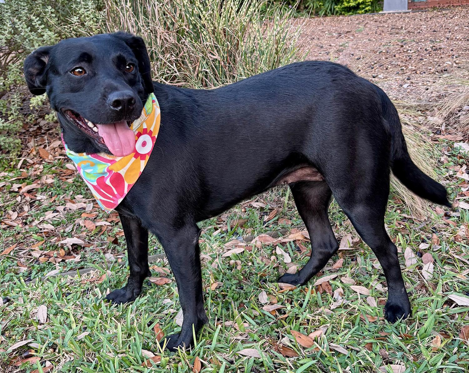 ANNABELLE - THE SWEETEST GIRL!