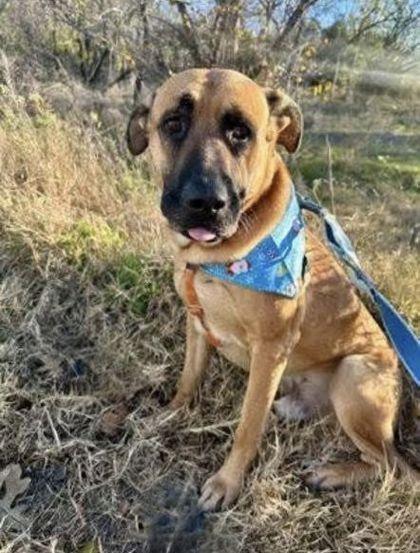 Oakley — thumbnail 2