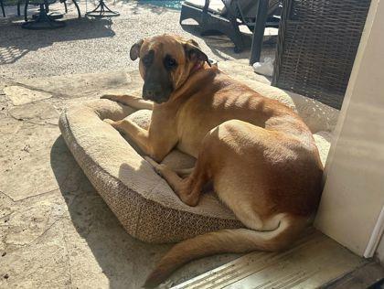 Oakley — thumbnail 3