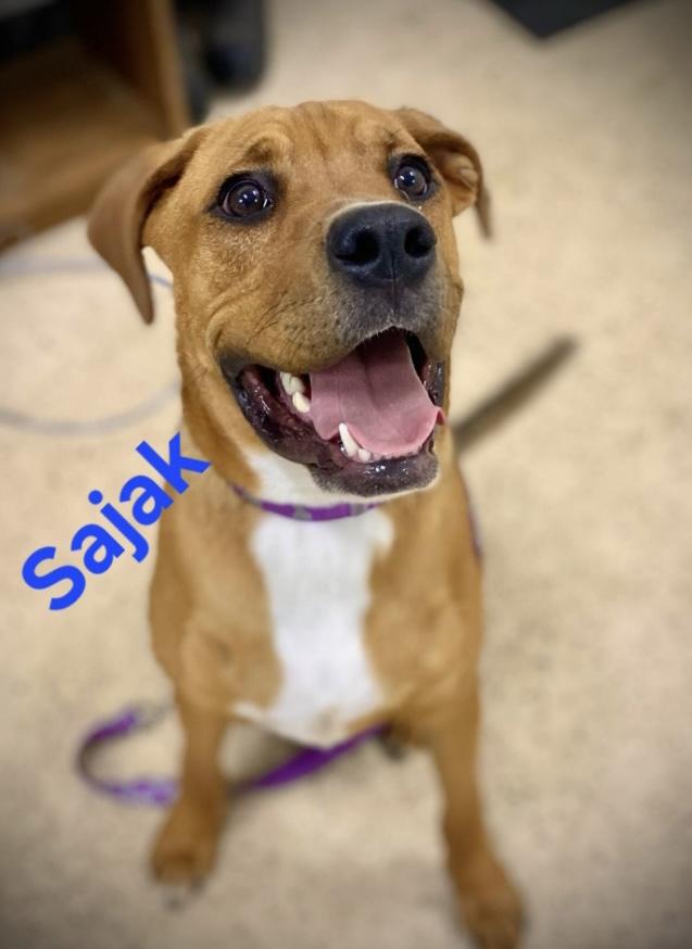 Sajak 1