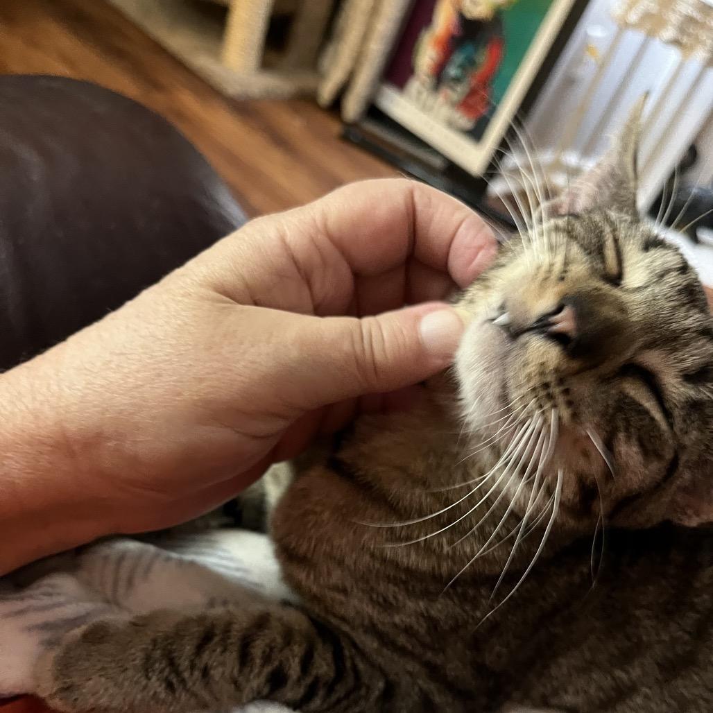 Mica — thumbnail 2