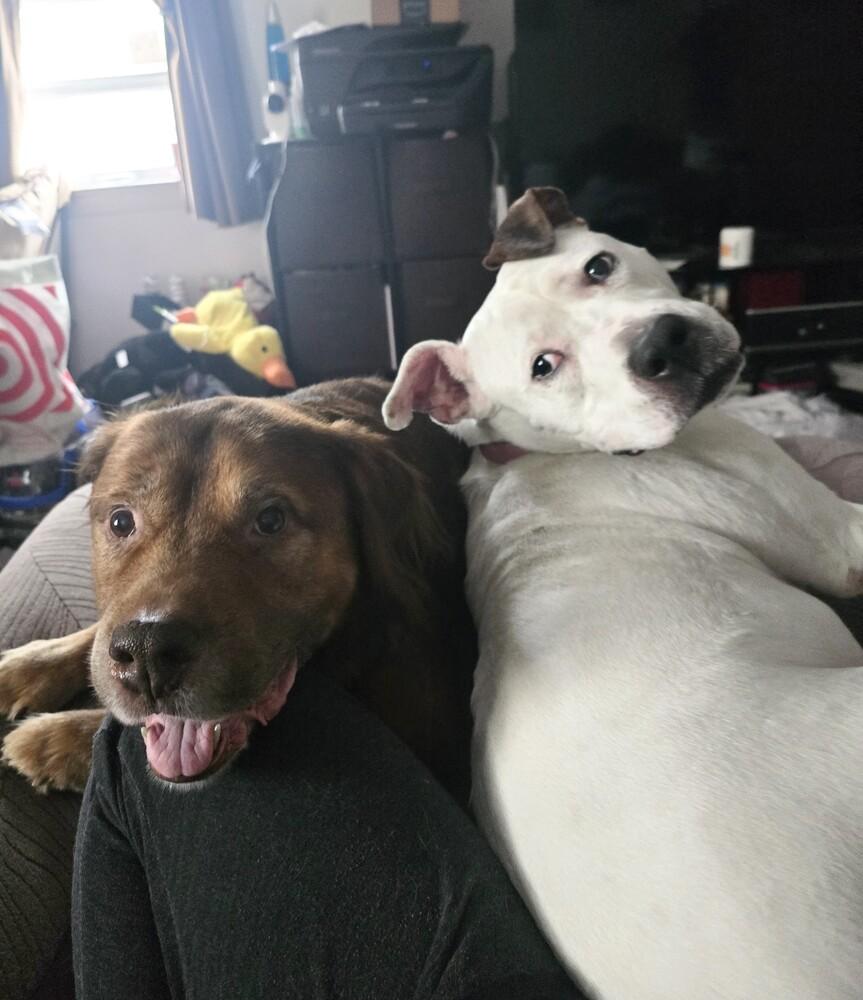 Jasmine The Jolly thumbnail 2