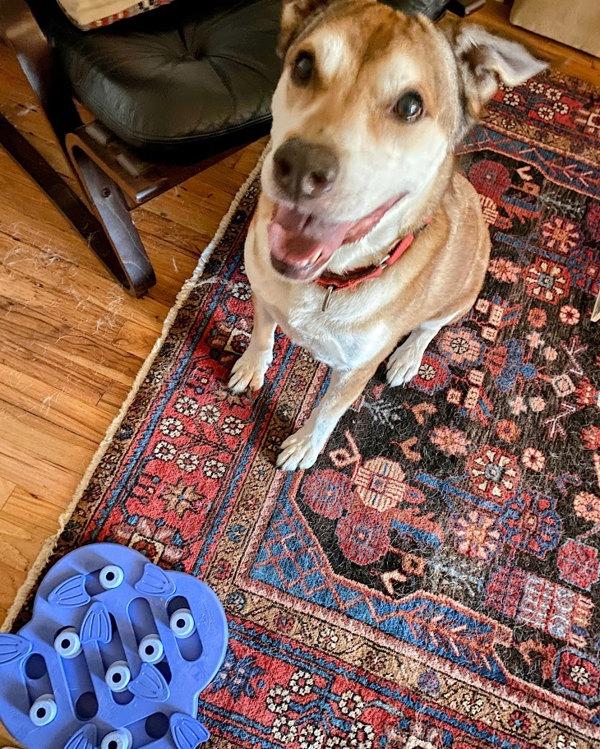 Teddy Bear — thumbnail 5