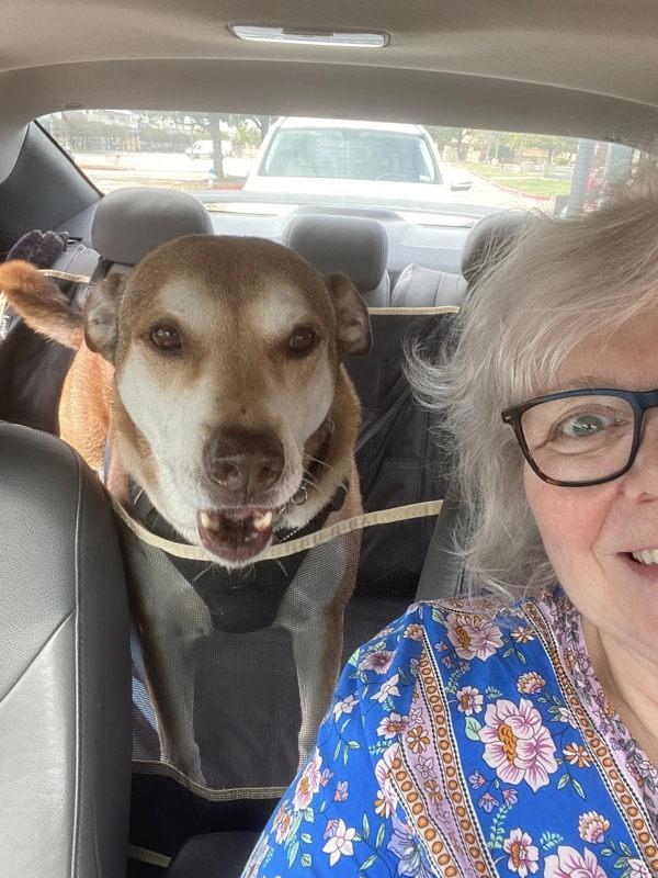 Teddy Bear — thumbnail 6