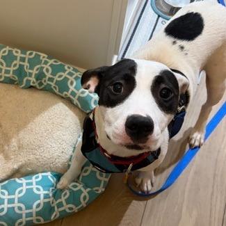 Misty — thumbnail 2