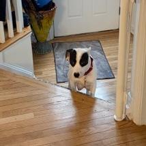 Misty — thumbnail 4