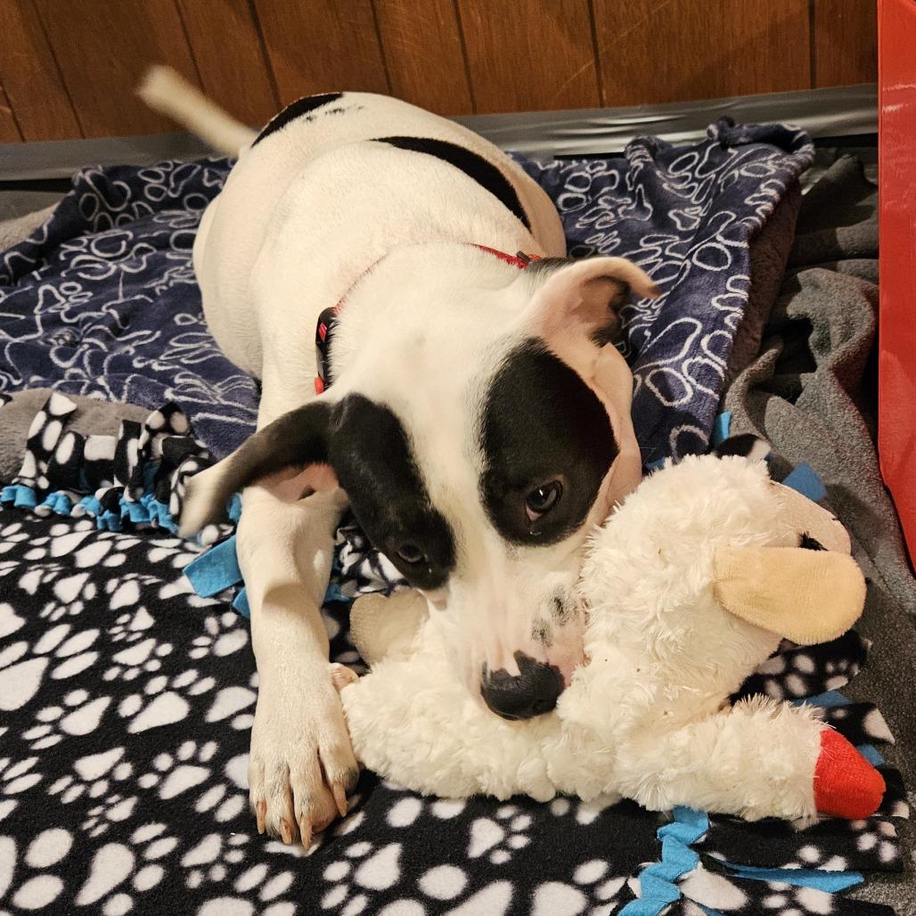 Misty — thumbnail 5