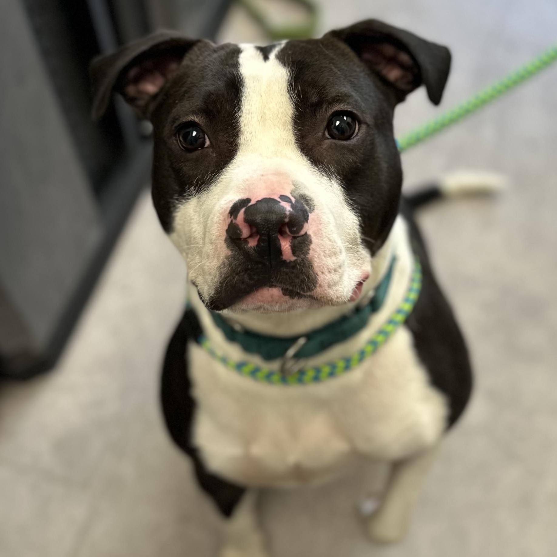 Zeus