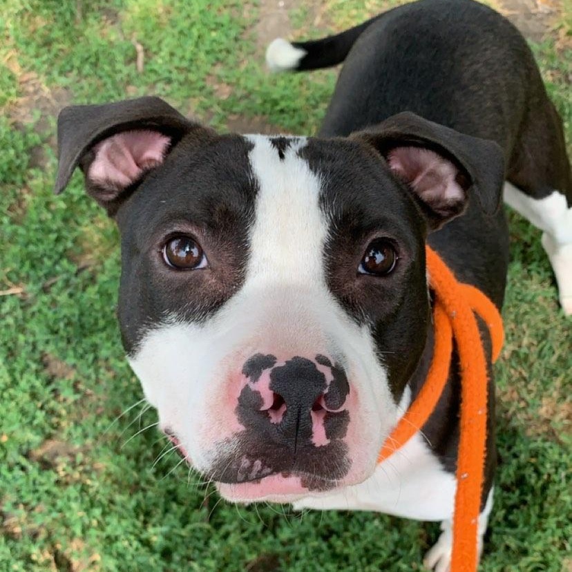 Zeus photo 2