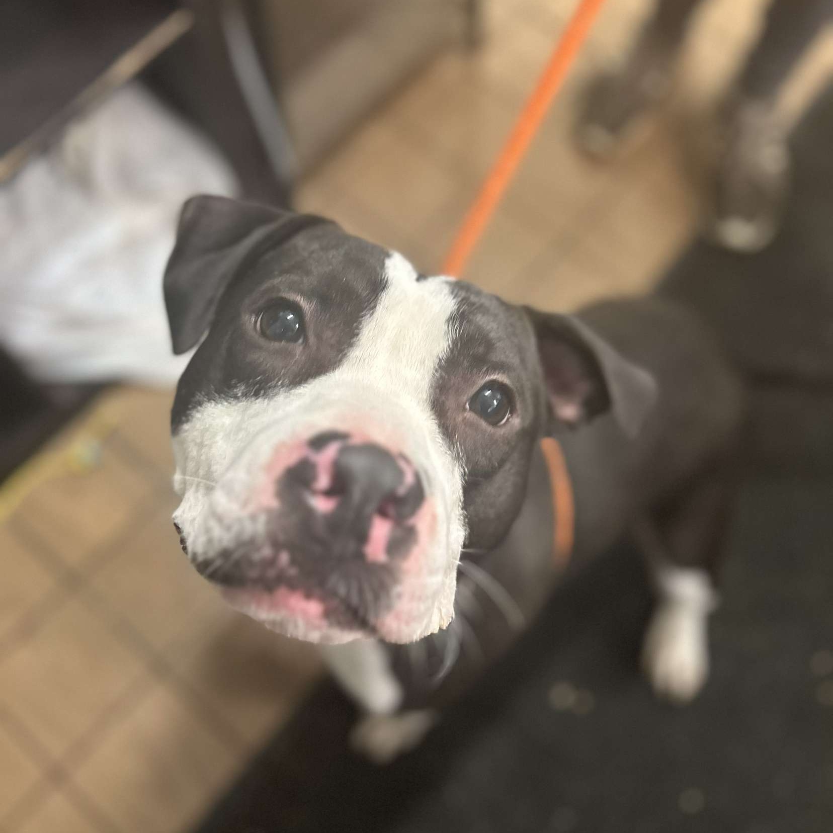 Zeus photo 4