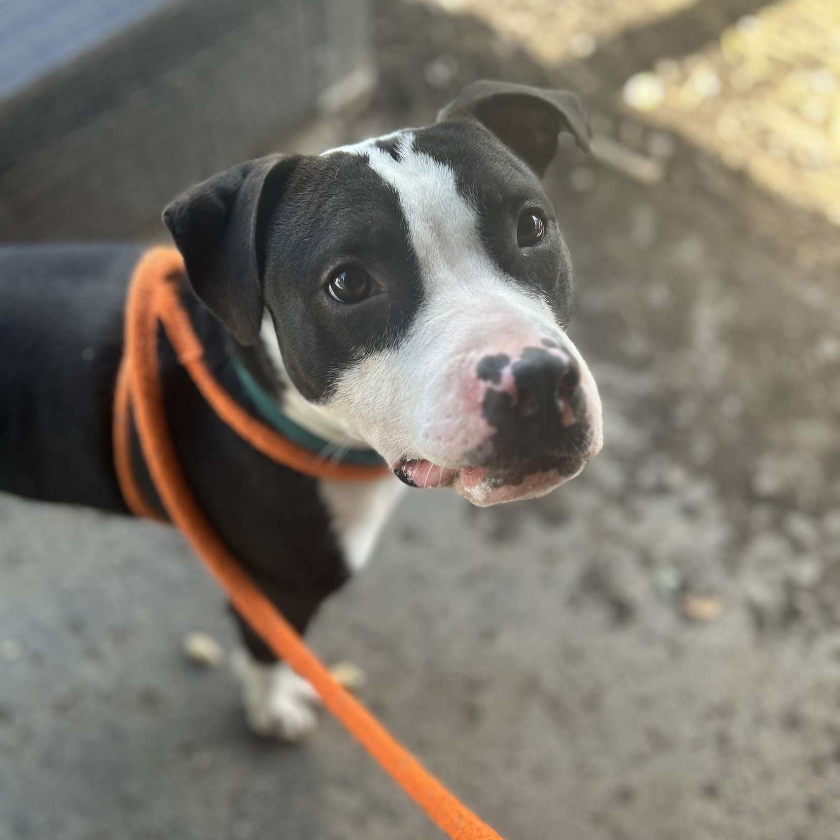 Zeus photo 5
