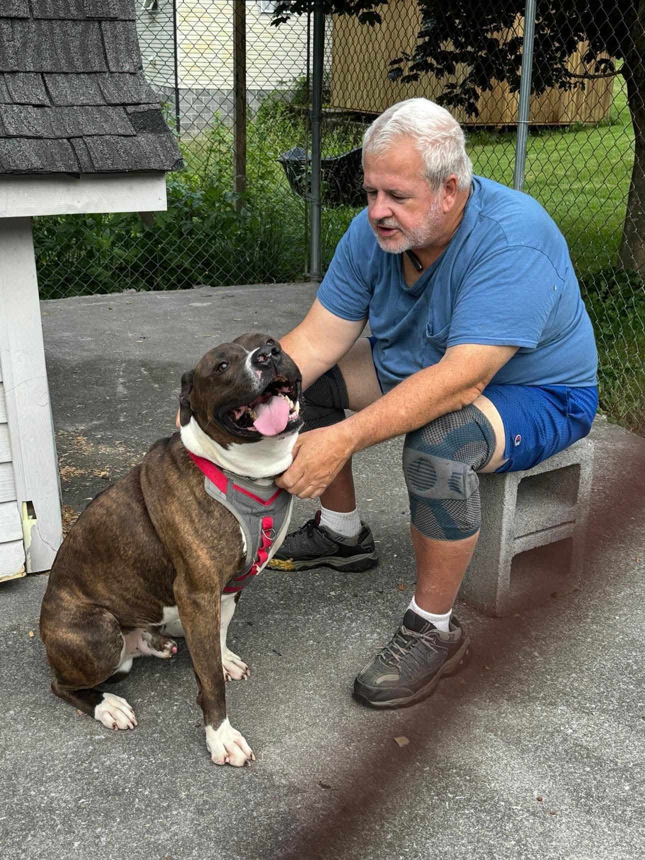 Enlarge Cayde, a Adoptable mixed breed in Coeburn, VA image 1/4