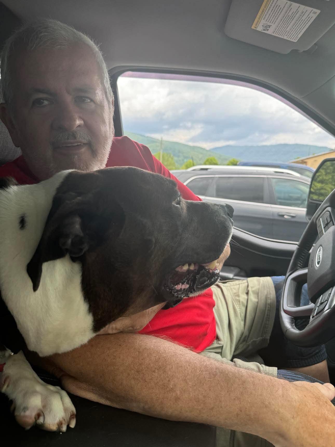 Enlarge Cayde, a Adoptable mixed breed in Coeburn, VA image 4/4