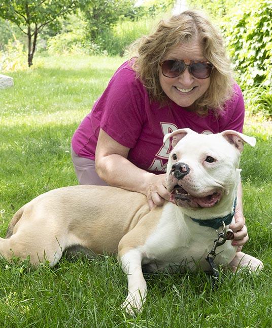 Enlarge Romeo - Fee Waived, a ADOPTABLE mixed breed in Chicago, IL image 4/6