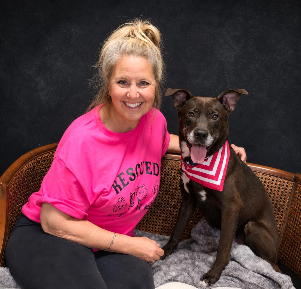 Falcon, a ADOPTABLE Chocolate Labrador Retriever in Cheboygan, MI image 1/6