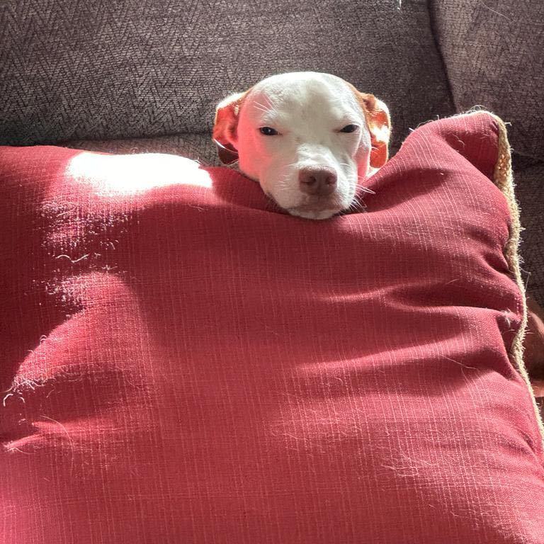 Zaarina "your Girl." thumbnail 2