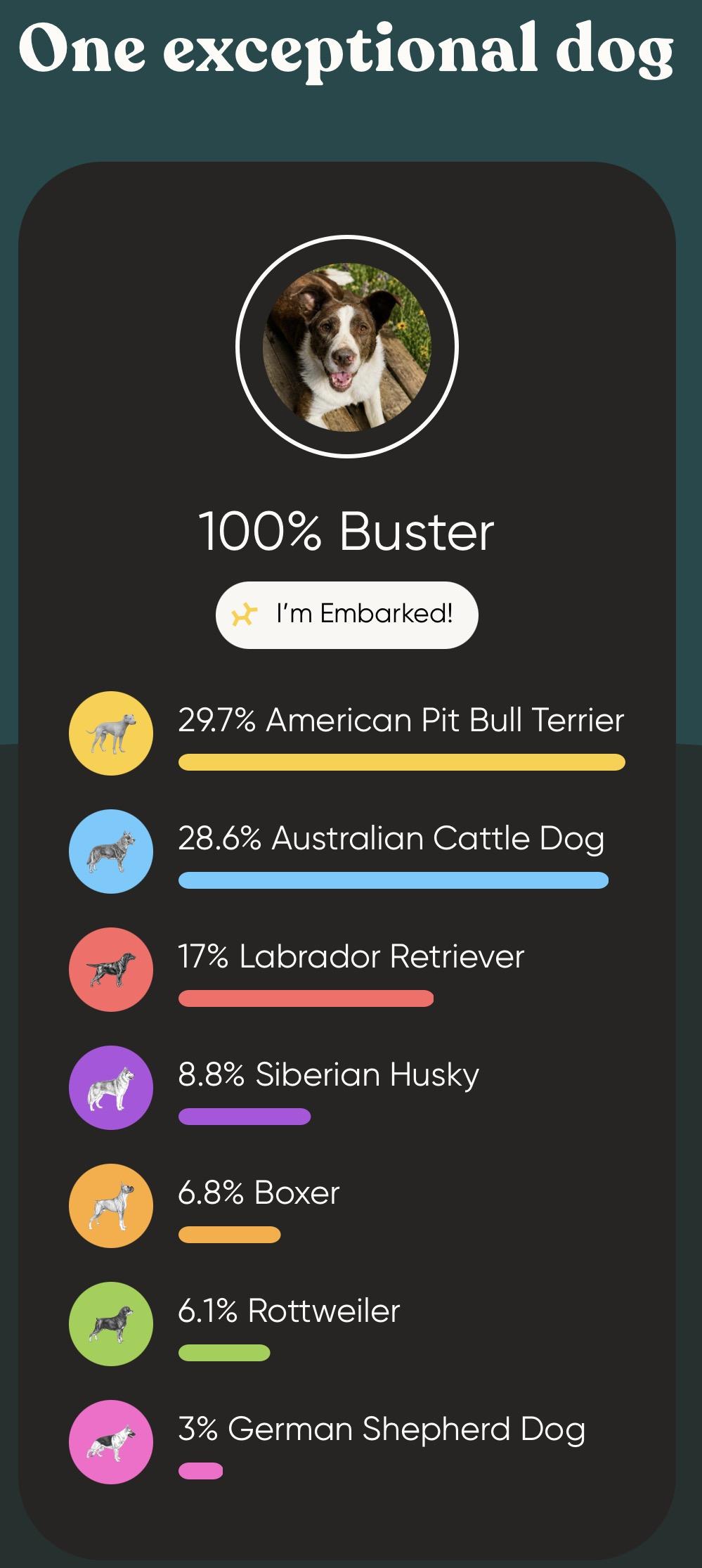 Enlarge Buster, a ADOPTABLE mixed breed in Colville , WA image 2/5