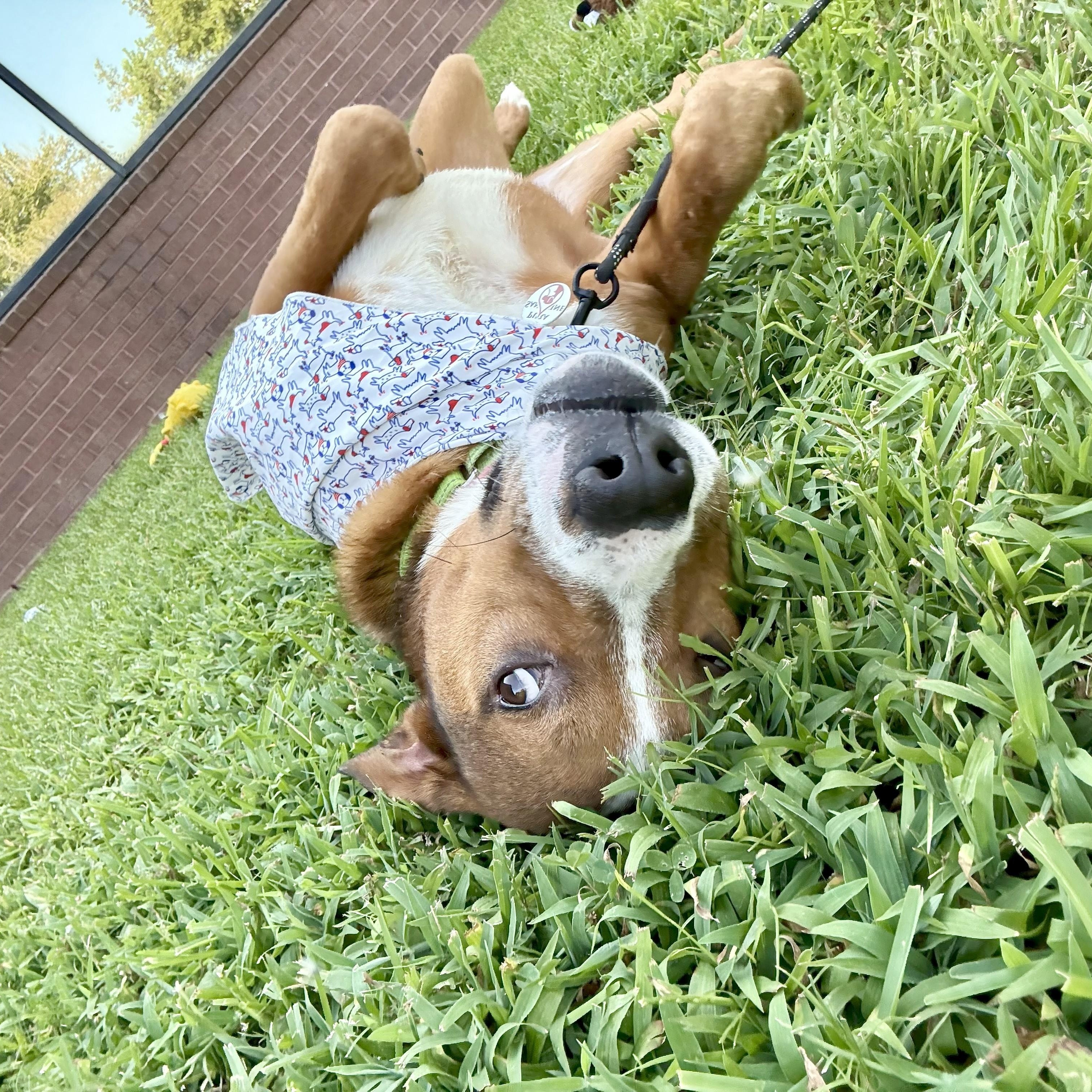 Deli — thumbnail 6