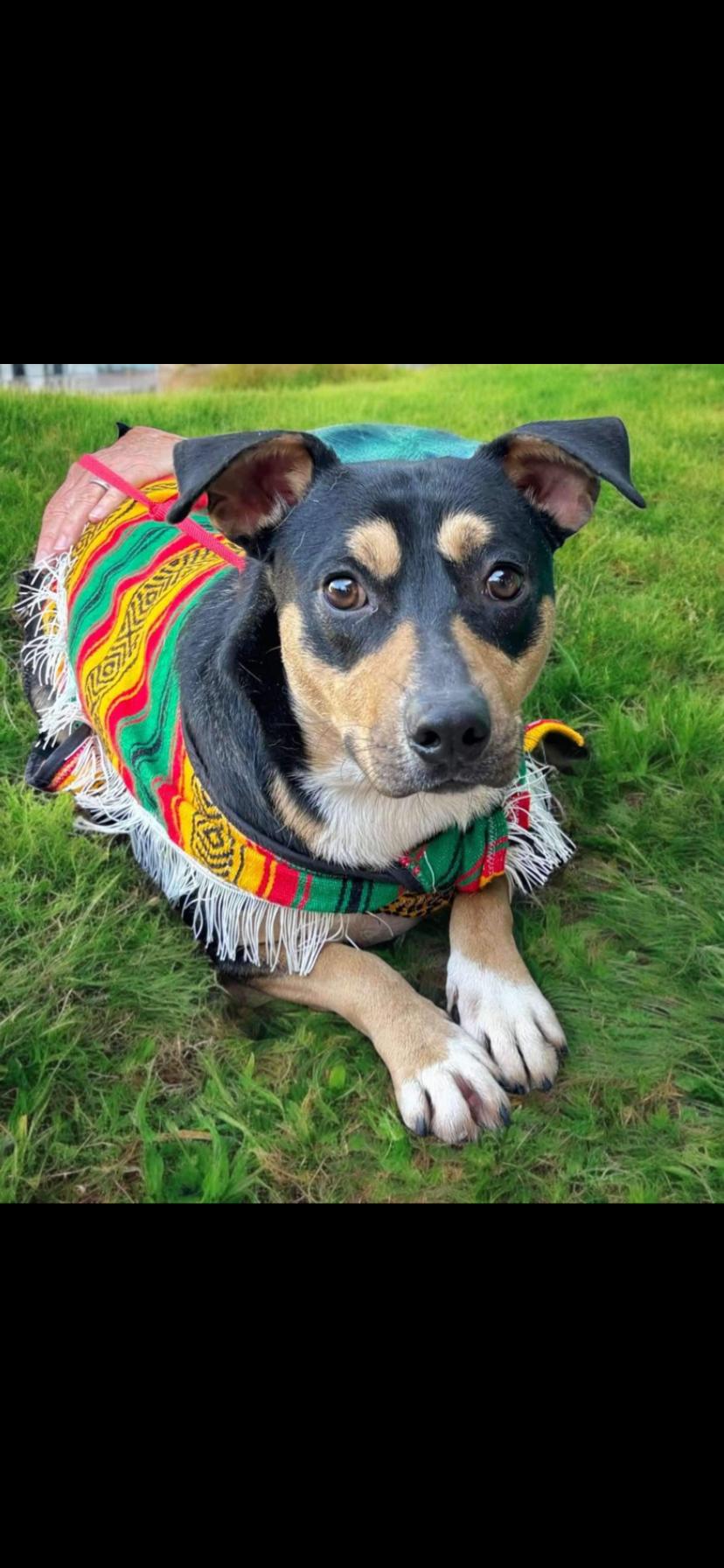 Buster photo 1