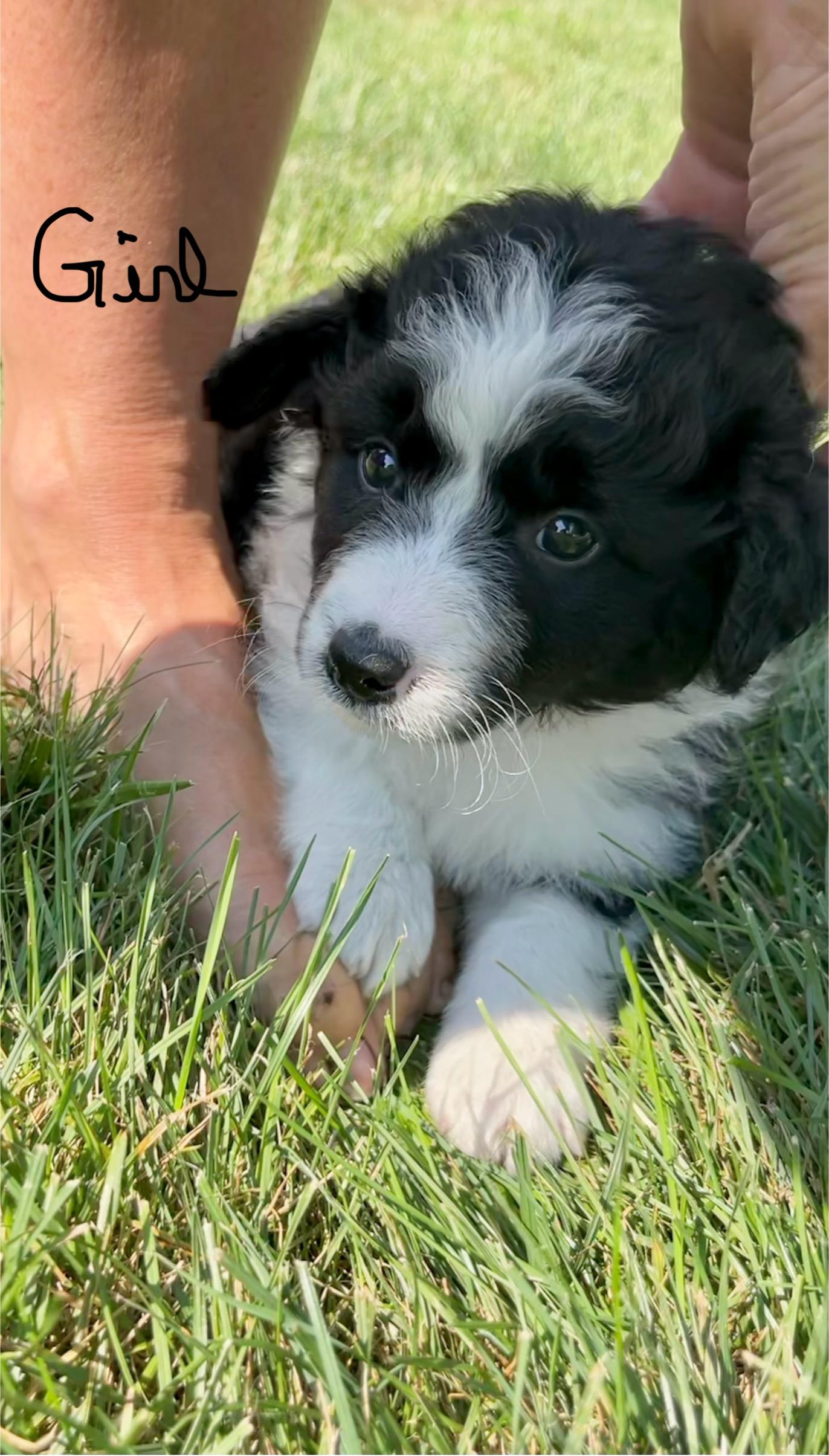 Elsa and her siblings photo 1