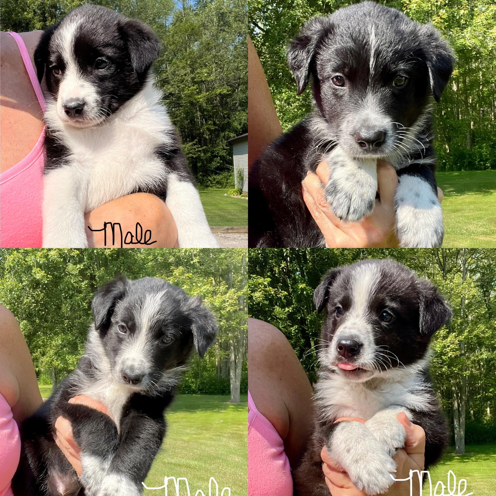 Elsa and her siblings photo 4