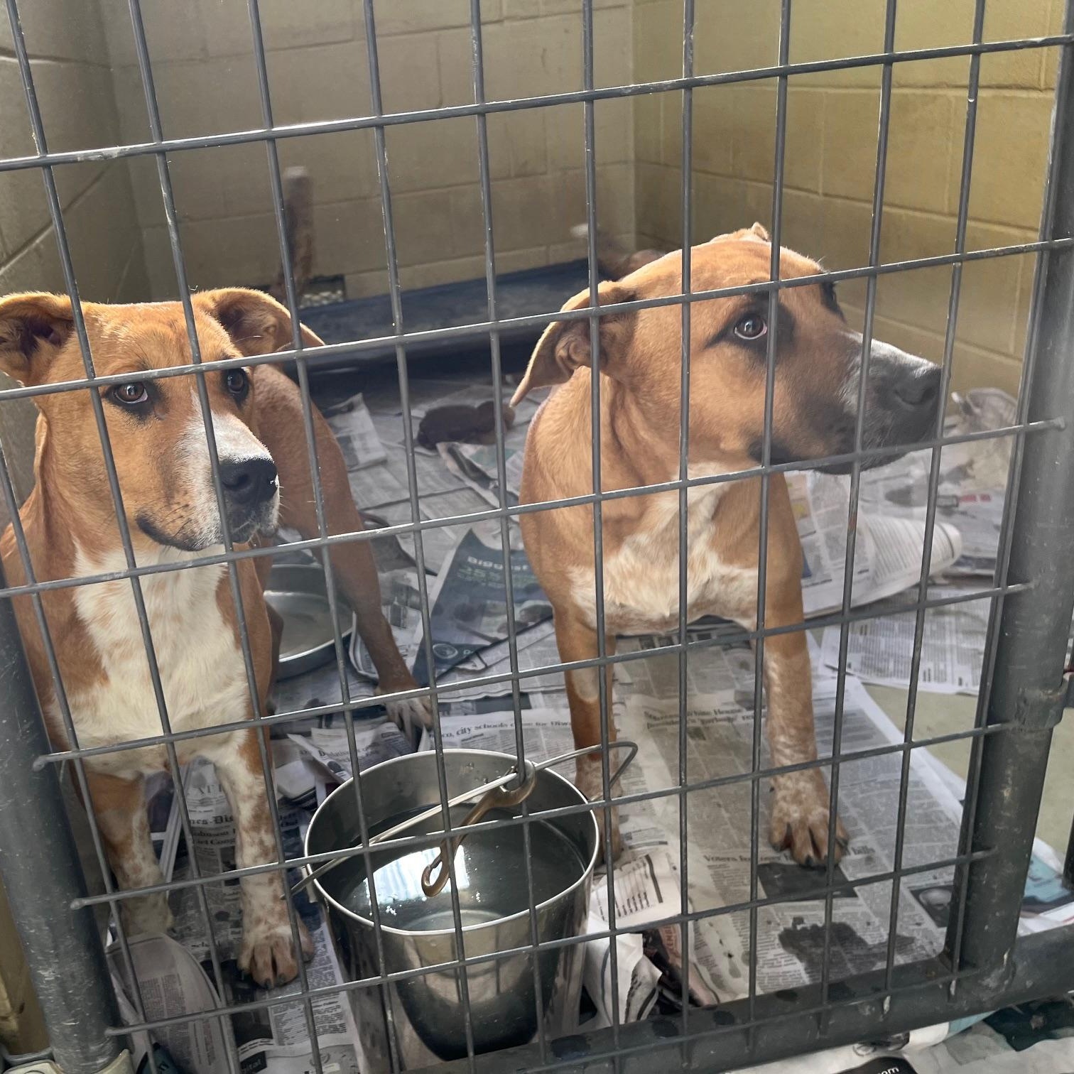 Boomer Rae thumbnail 5