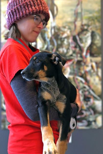 Shamrock — thumbnail 3