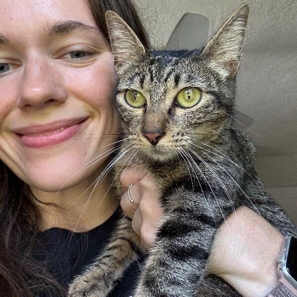 Azalea Flower — thumbnail 5