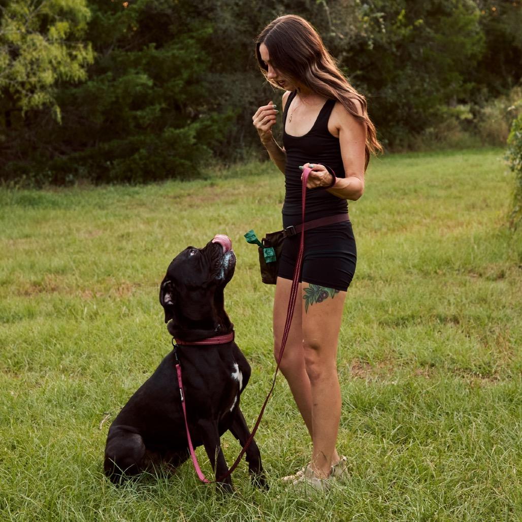 Enlarge Havoc, a Adoptable mixed breed in Cedar Creek, TX image 2/3