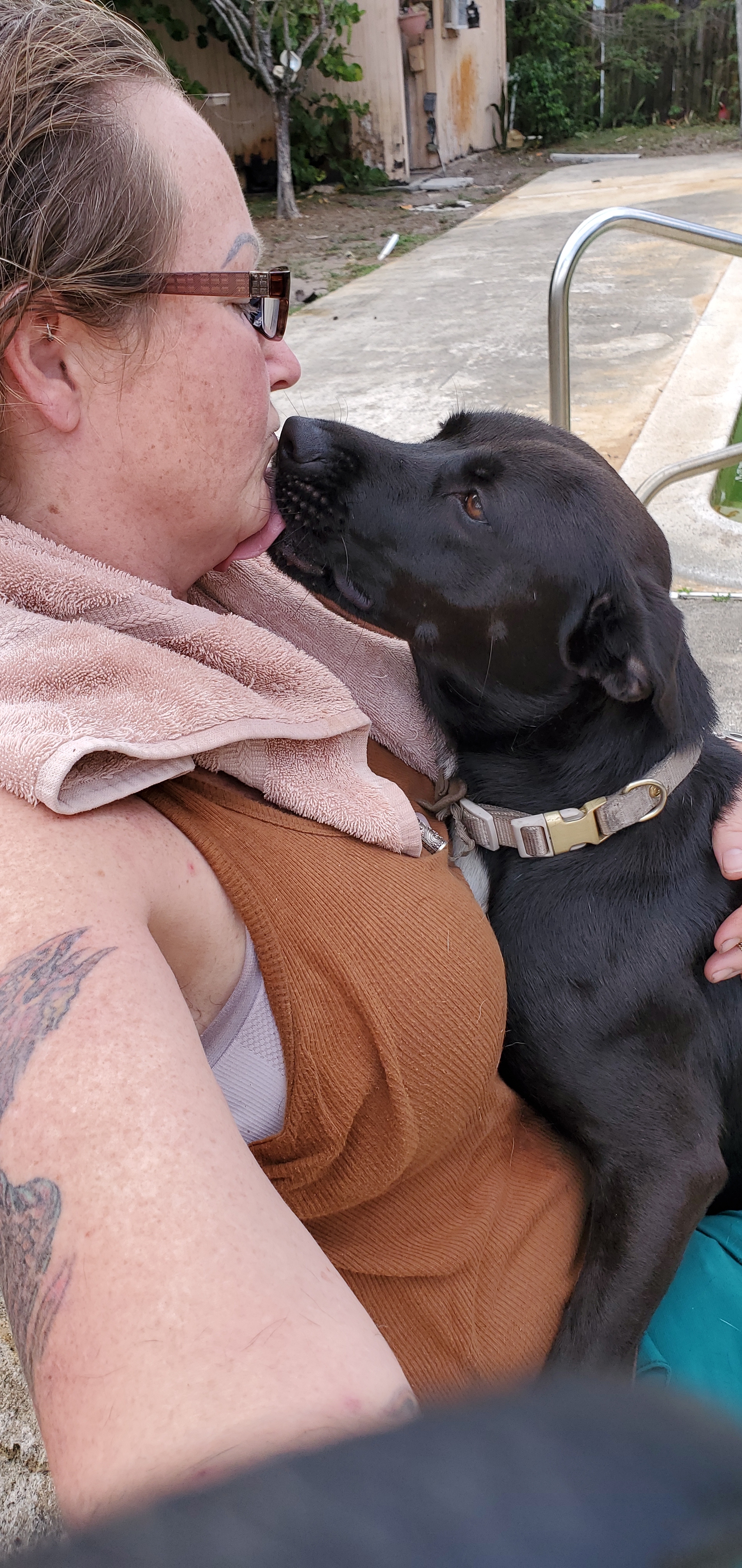 SHAKIRA with Shaggy. Read in full, a Adoptable mixed breed in West Palm Beach, FL image 2/8