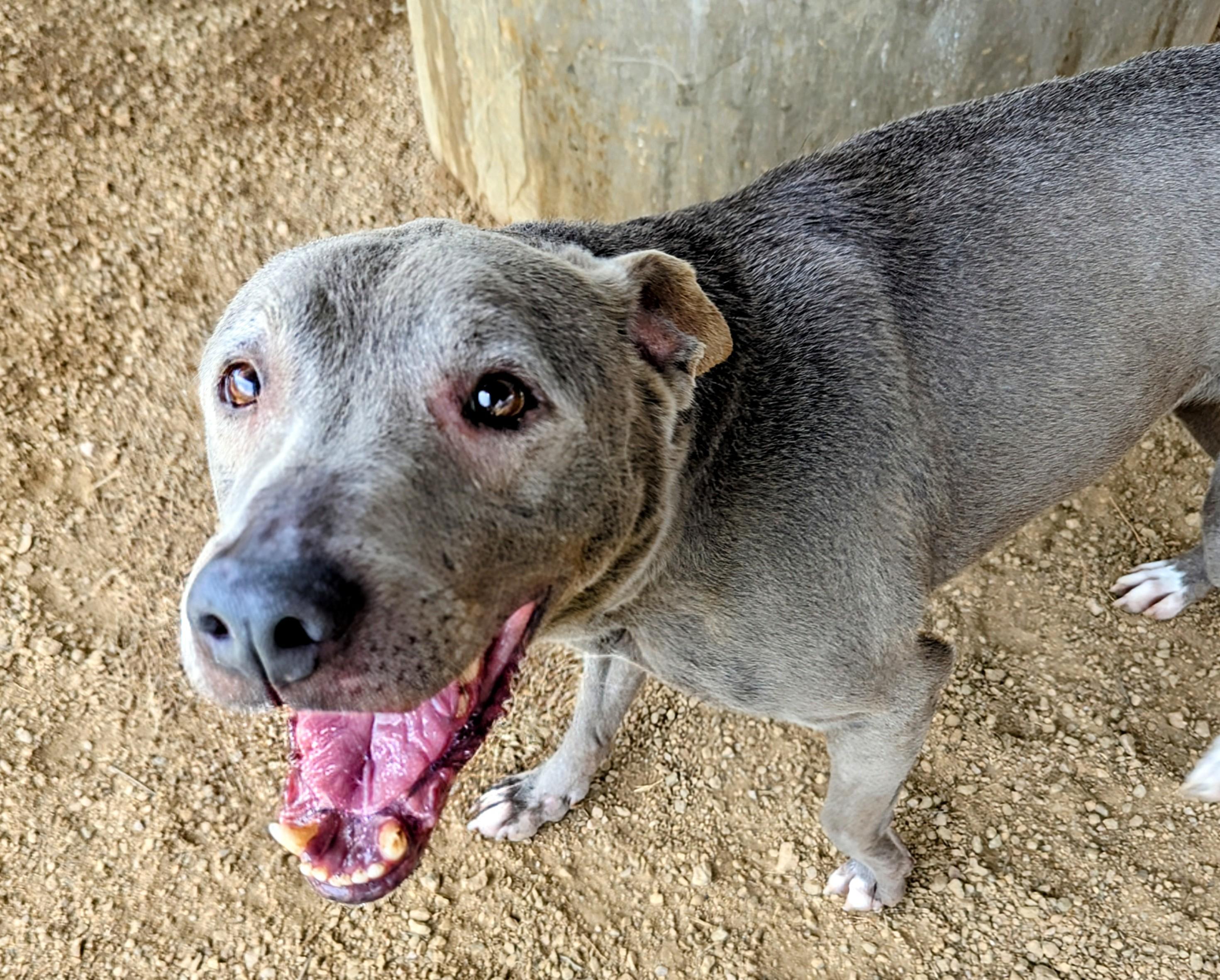 Lola* A203882
