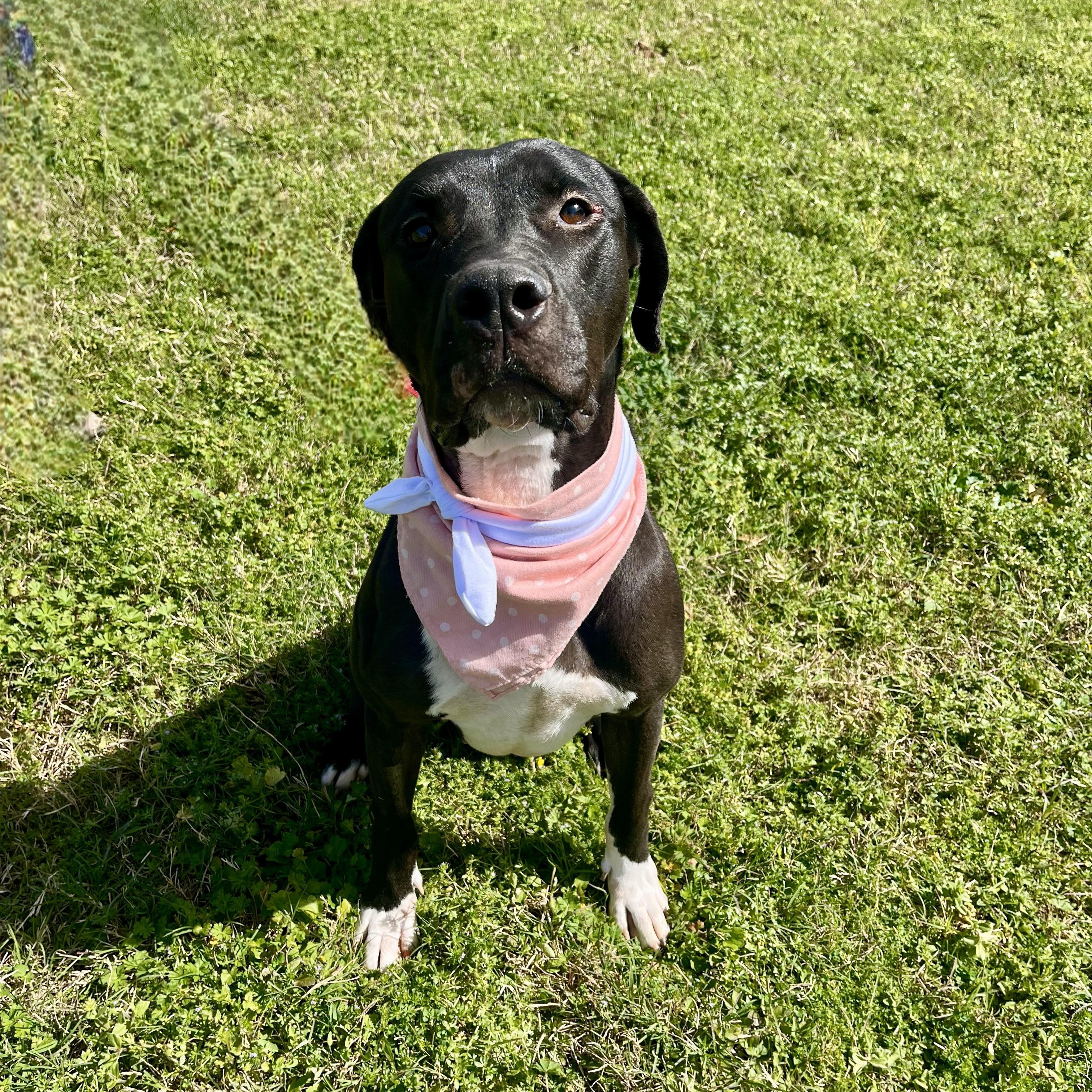 Cherry Cruz — thumbnail 5