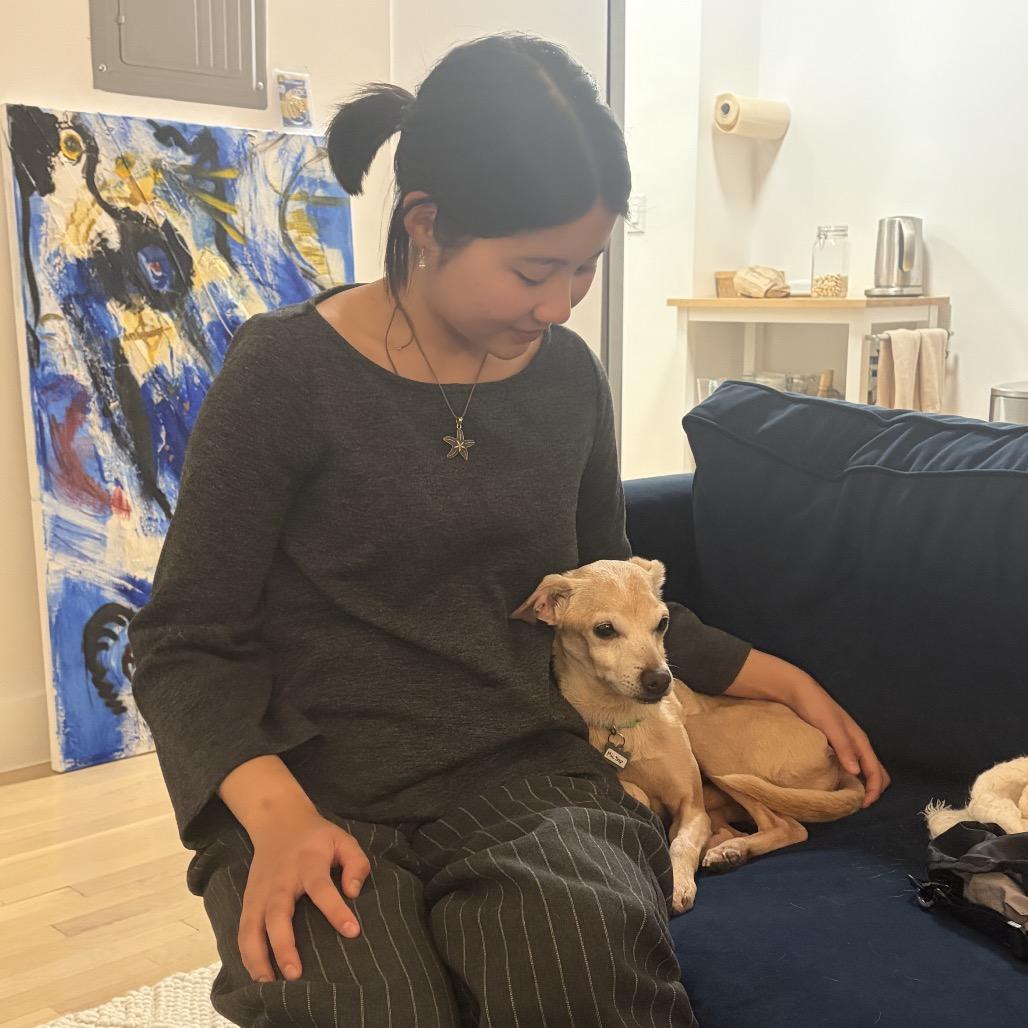 Enlarge Mic Drop 13978, a Adoptable Chihuahua in San Francisco, CA image 5/6