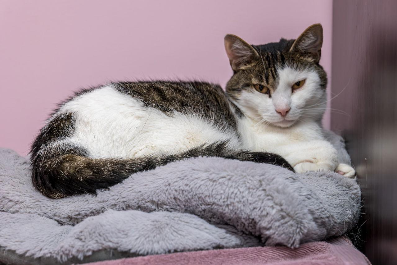 Frisky  Kbc thumbnail 2