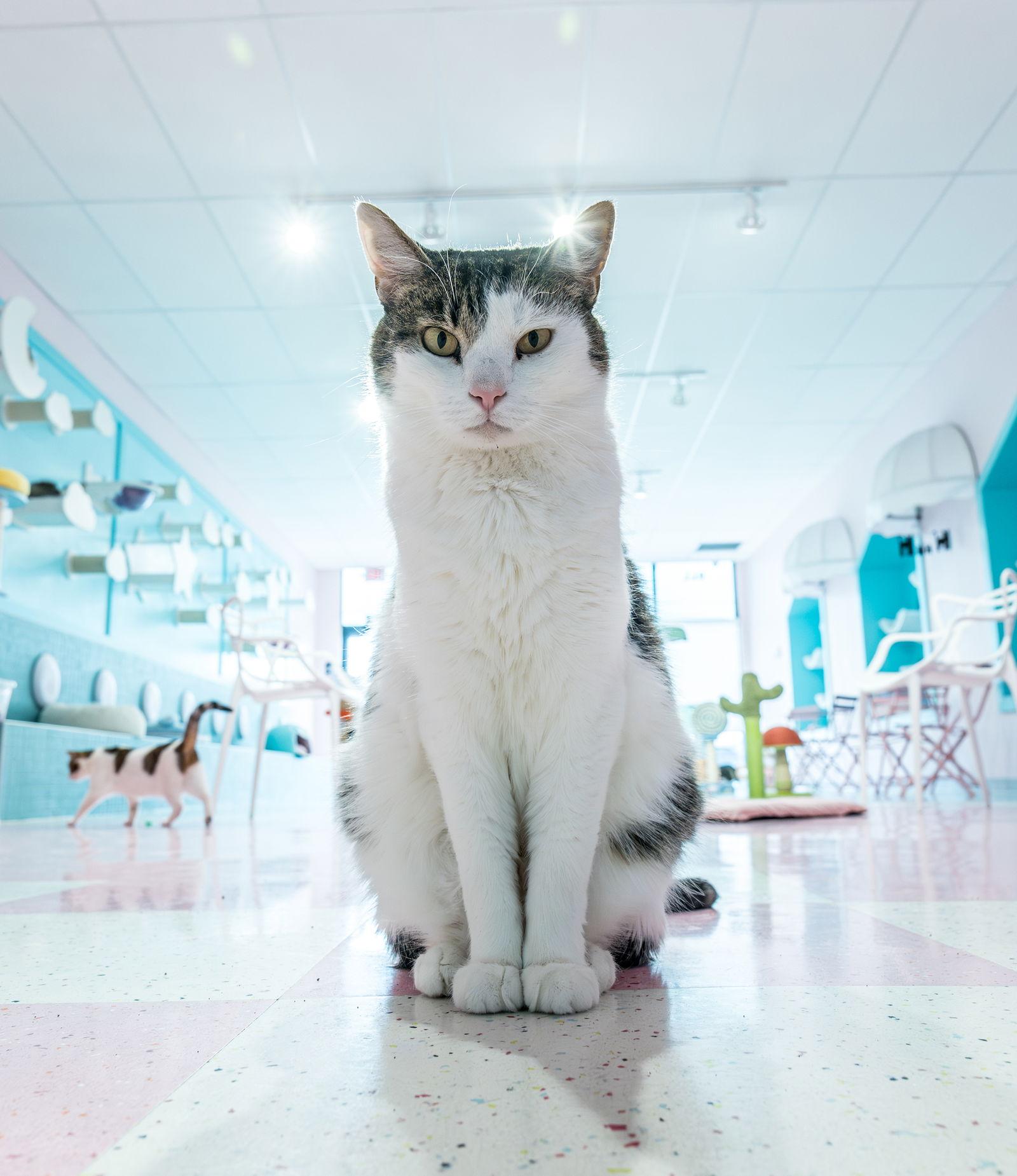 Frisky  Kbc thumbnail 3