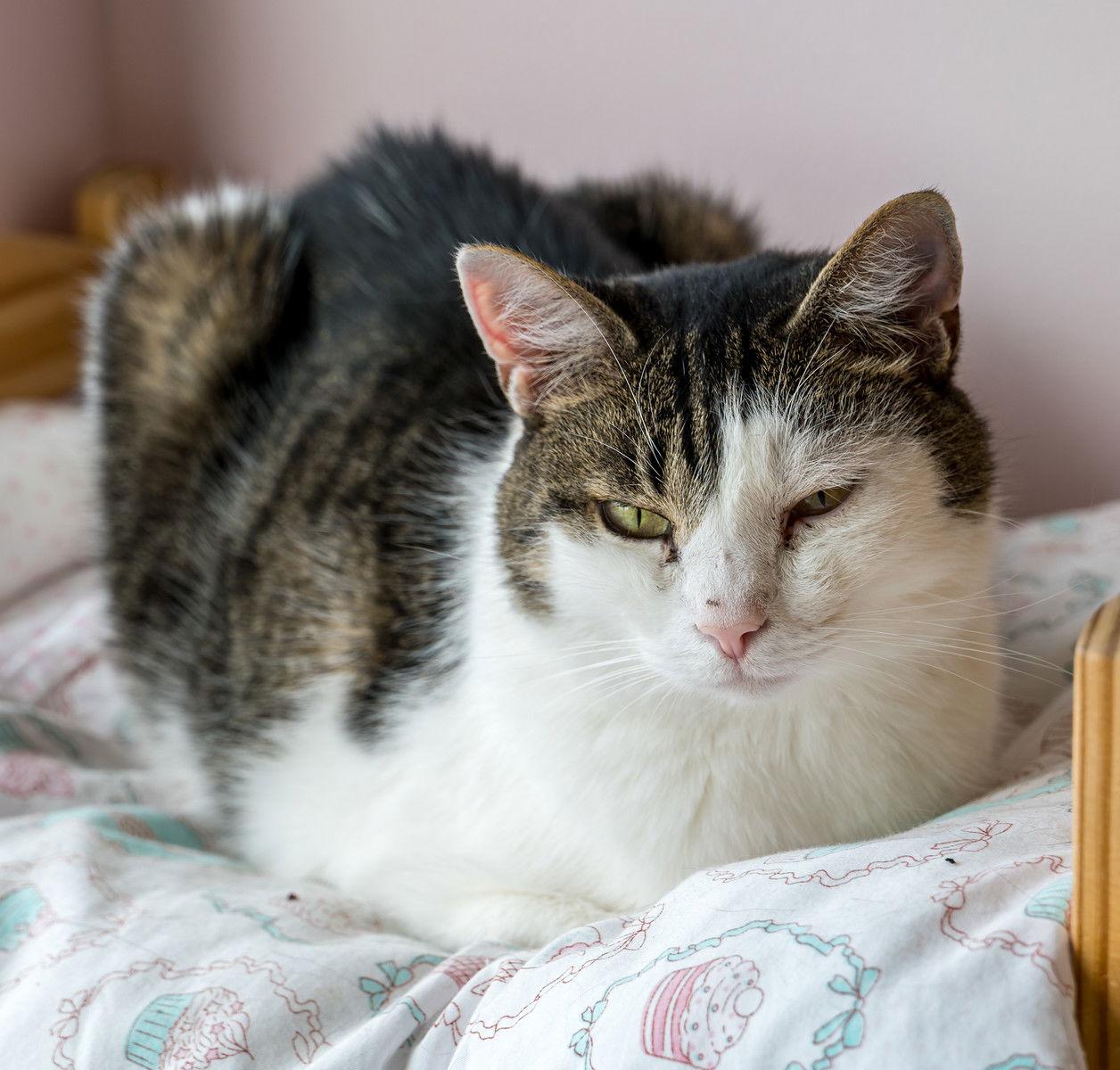 Frisky  Kbc thumbnail 4