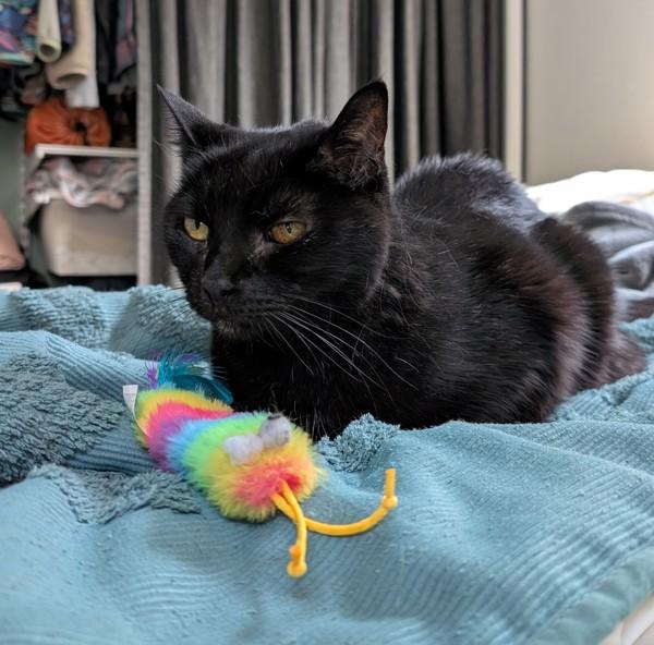 Bonnie Mae — thumbnail 2