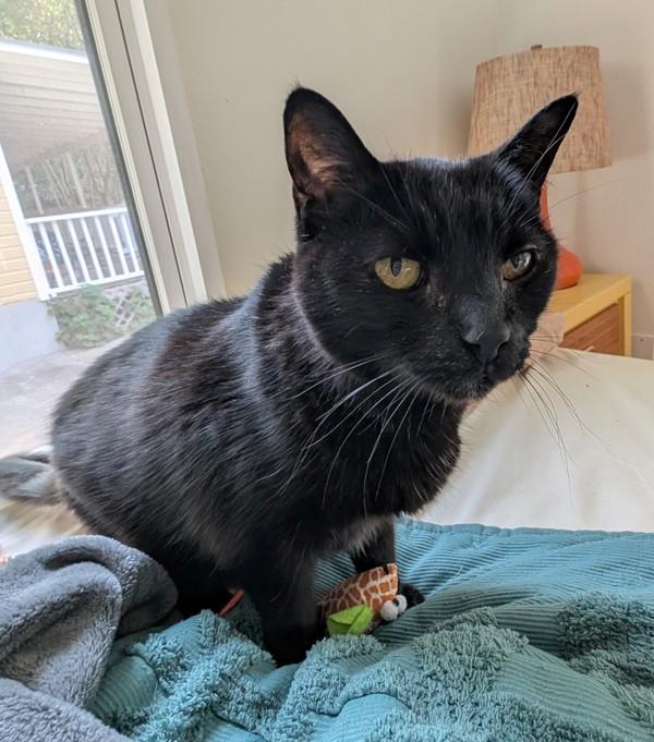 Bonnie Mae — thumbnail 3