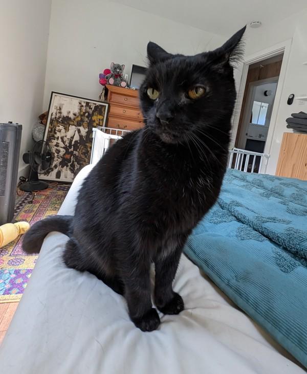 Bonnie Mae — thumbnail 4