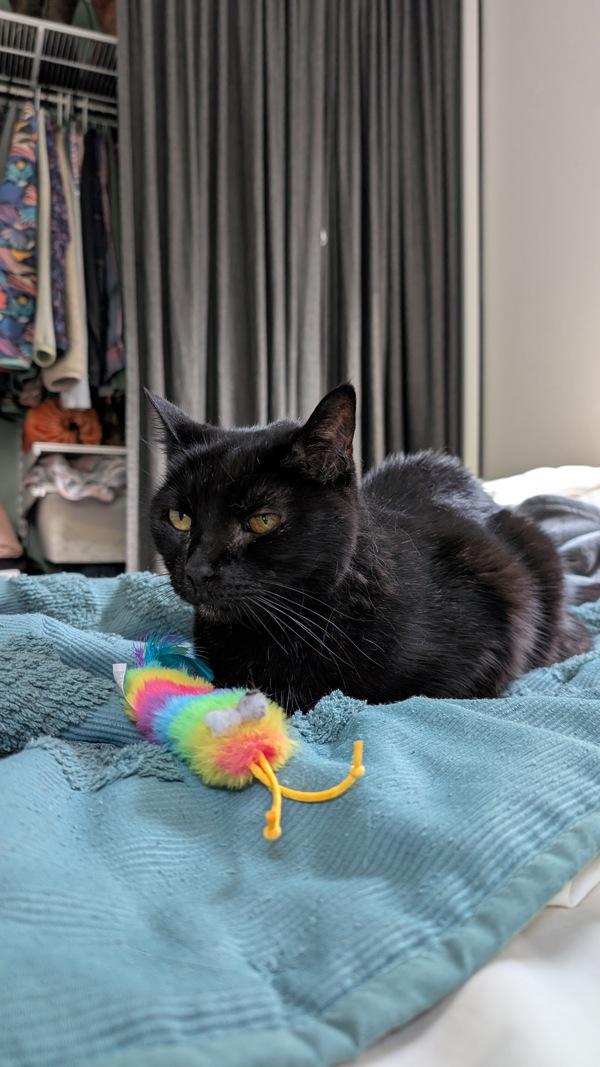 Bonnie Mae — thumbnail 5