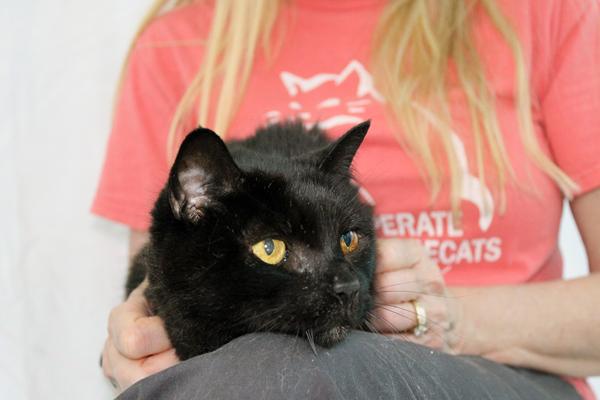 Bonnie Mae — thumbnail 6